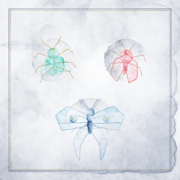 Three insects drawn with glasslike pastel wings